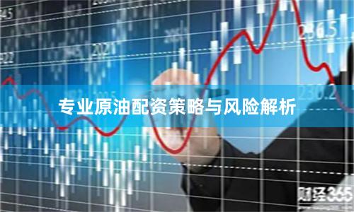 专业原油配资策略与风险解析