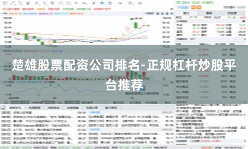 楚雄股票配资公司排名-正规杠杆炒股平台推荐